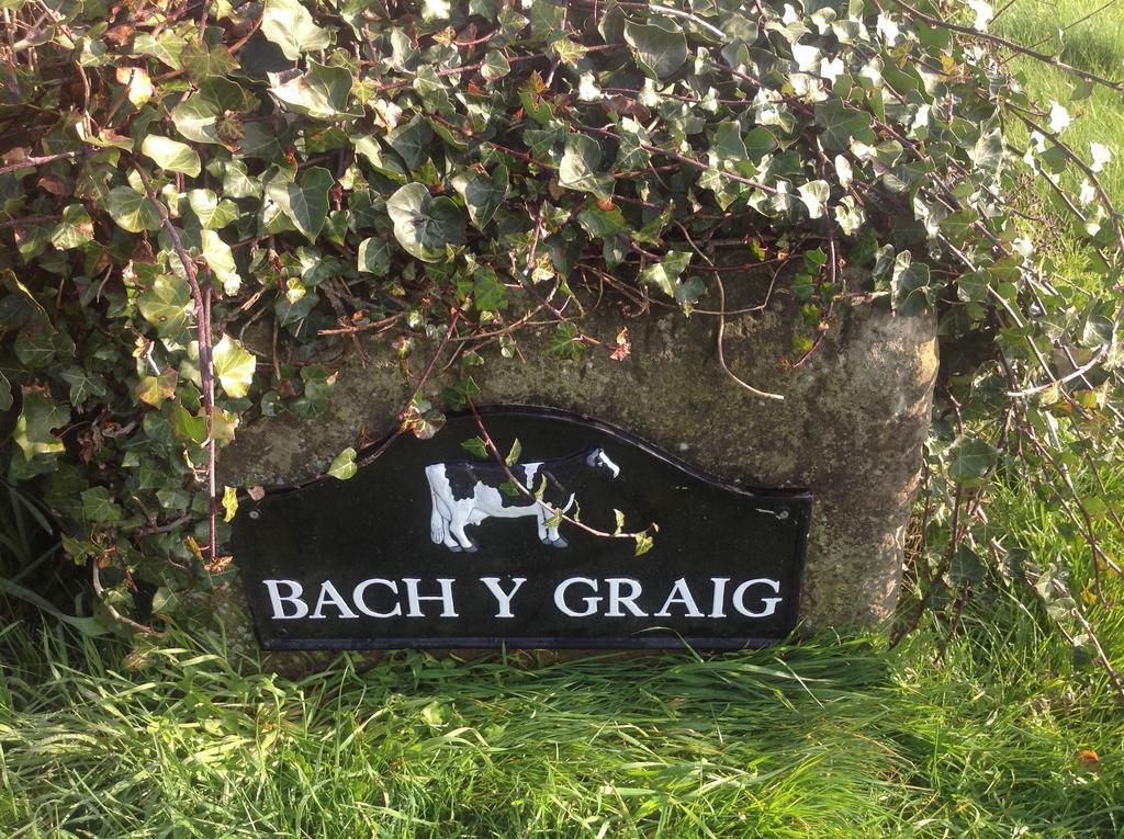 Hotel Bach Y Graig St Asaph Exterior foto
